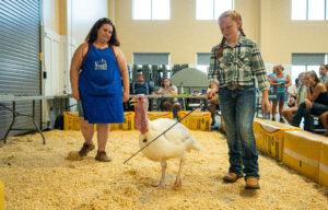 Youth livestock show and auction benefits kids, community